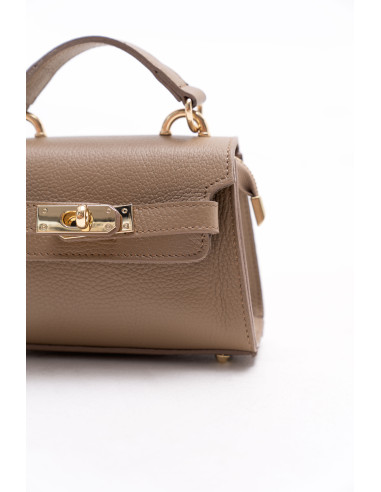 Lily Taupe Bag